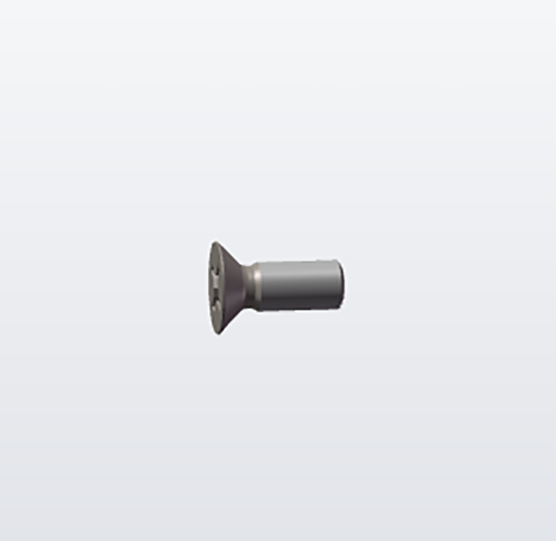 BG2600 32-Philips Screw - Bucktool