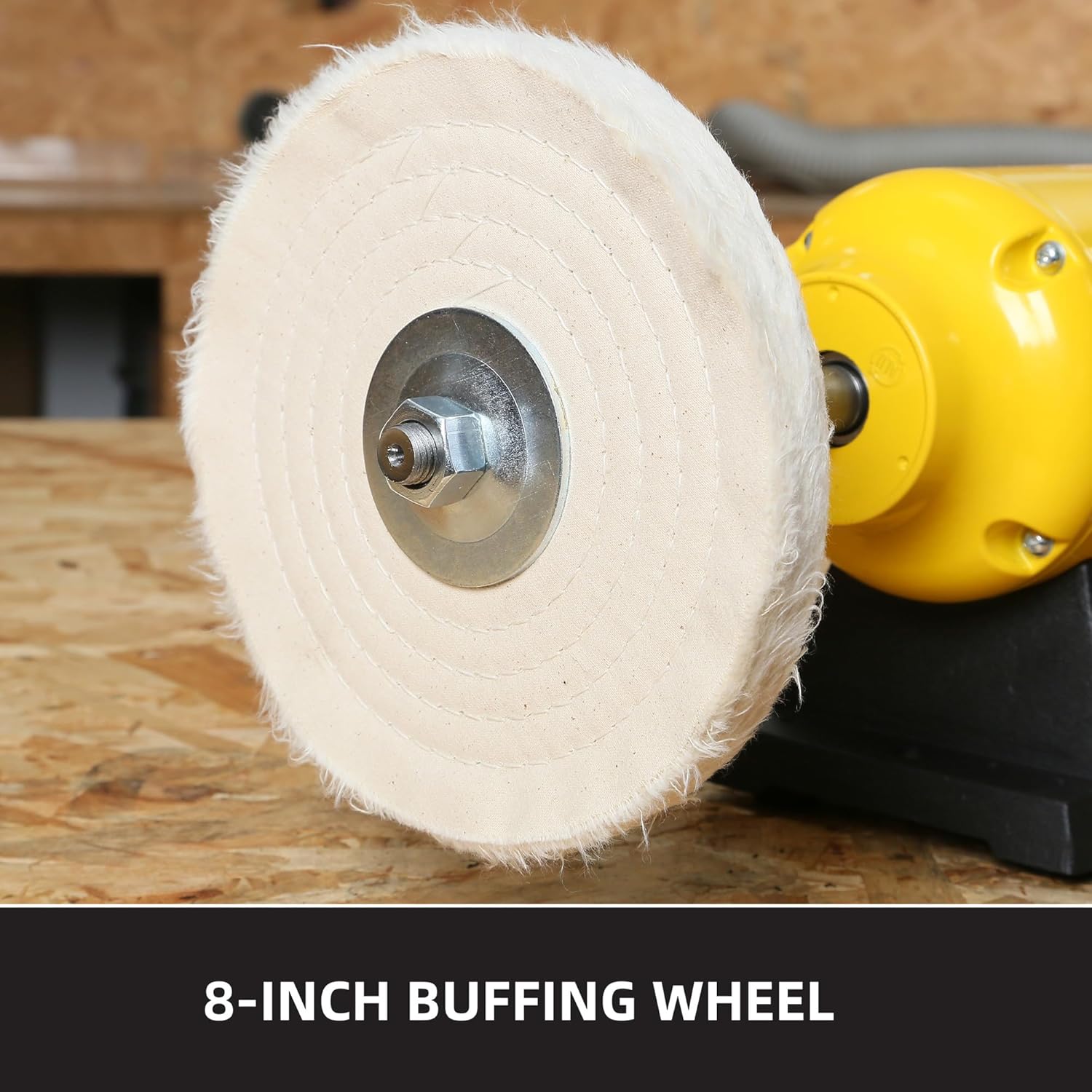 1.8/3.1A 1725/3450 RPM 8 inch Dual Speed Bench Buffer Polisher TLG-200BGDS